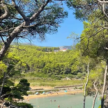 Mina Dream Apartamento